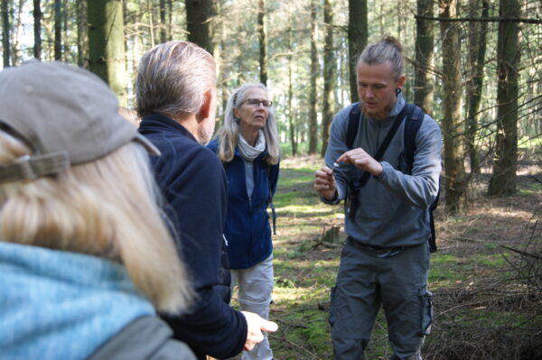 Pilz-Wochenend-Intensiv-Kurs vom 18.10.25-19.10.25 – Bild 2
