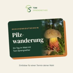 Gutschein für eine Pilzwanderung mit Tom Sprengnether
